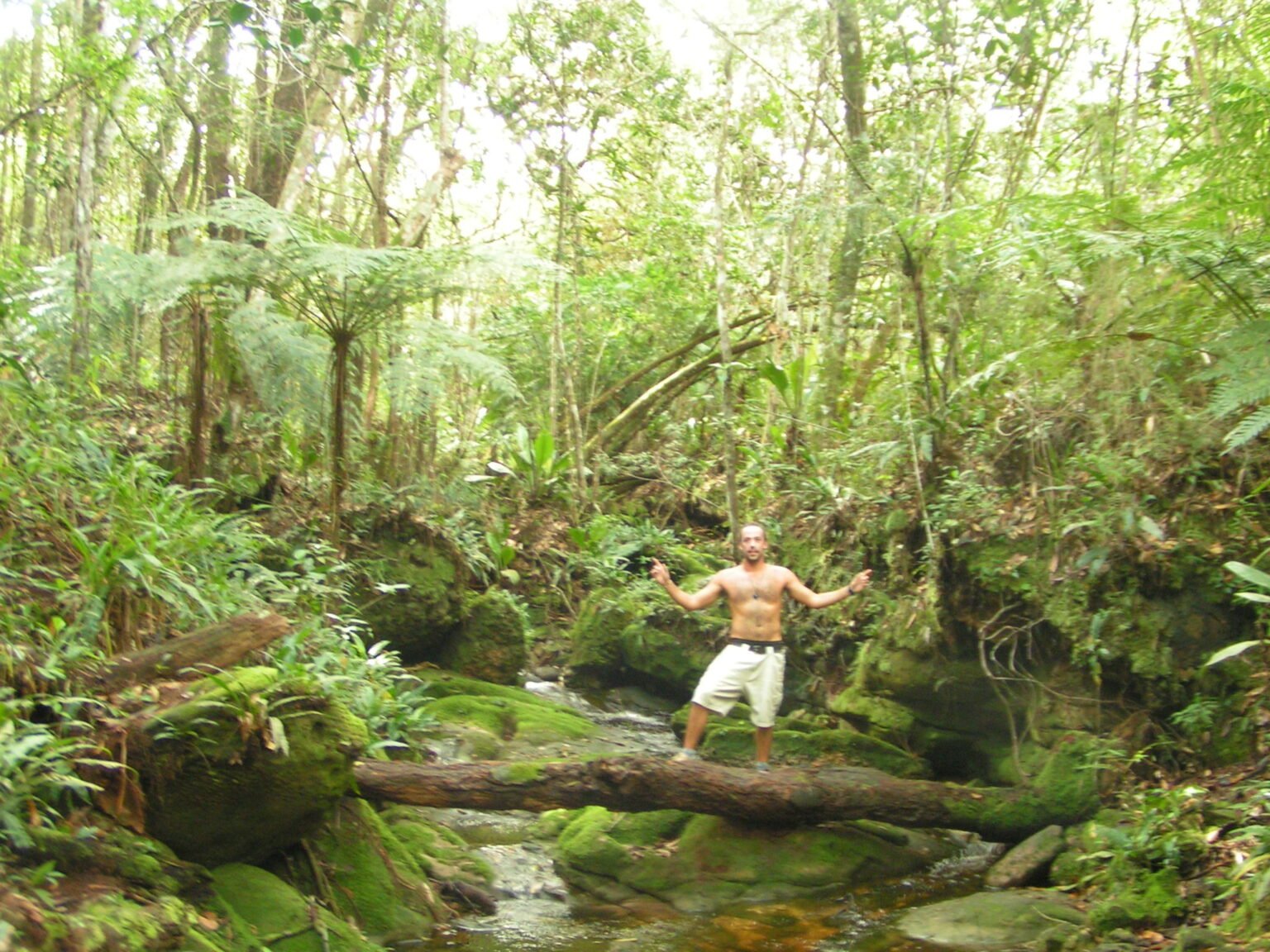 MINOLTA DIGITAL CAMERA