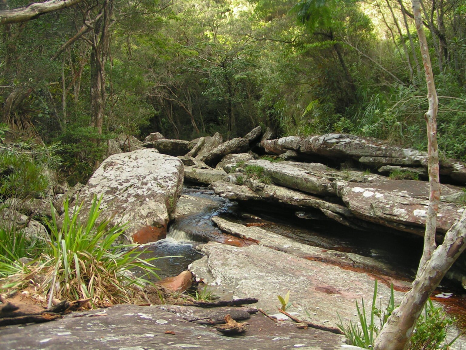 MINOLTA DIGITAL CAMERA