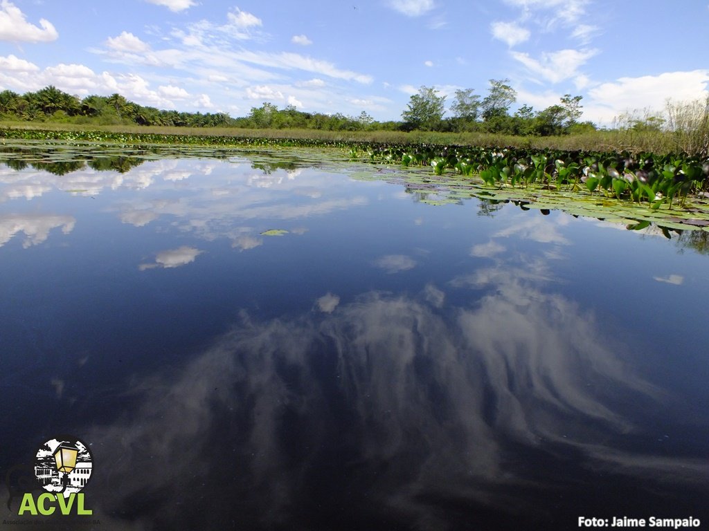 Espelhos d'água no Marimbus