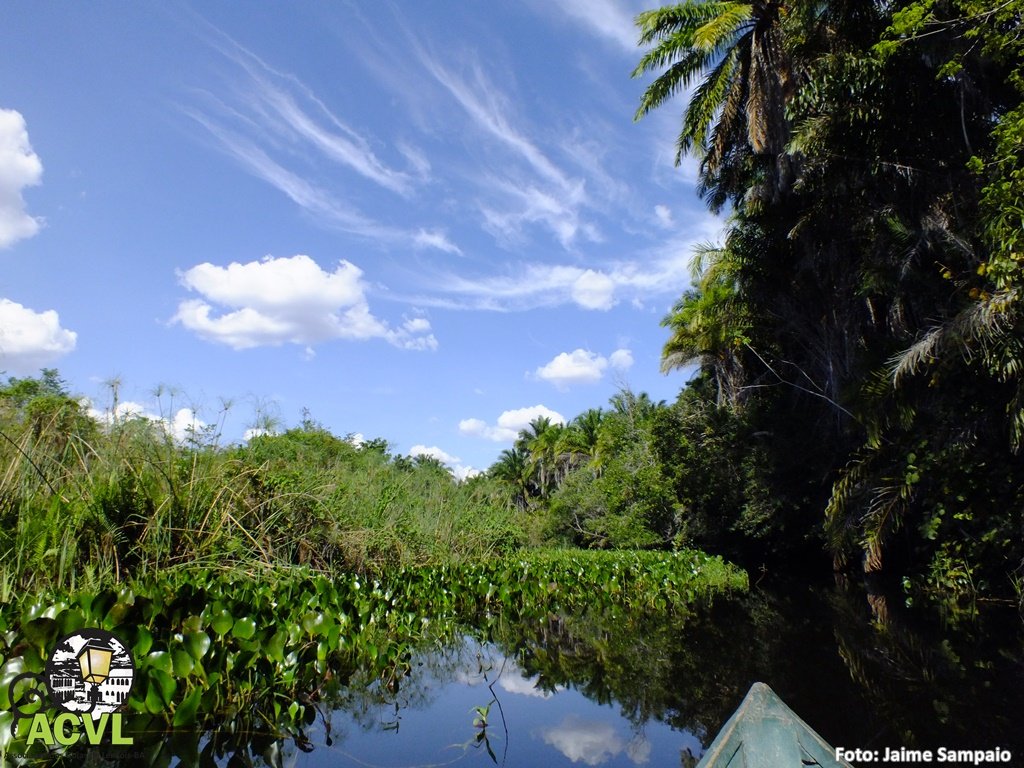 Espelhos d'água no Marimbus