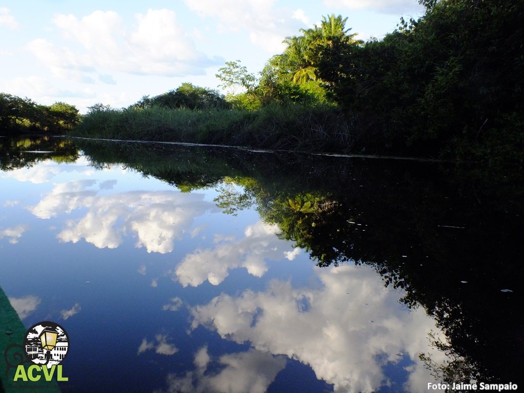 Espelhos d'água no Marimbus