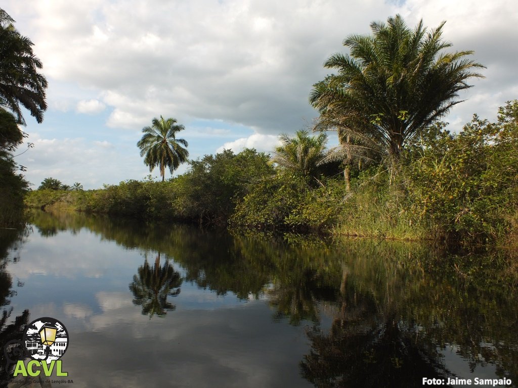 Espelhos d'água no Marimbus